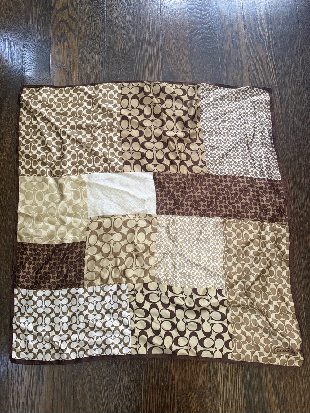 Silk coach scarf